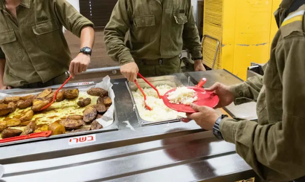 Training stopped after dozens of soldiers fall ill