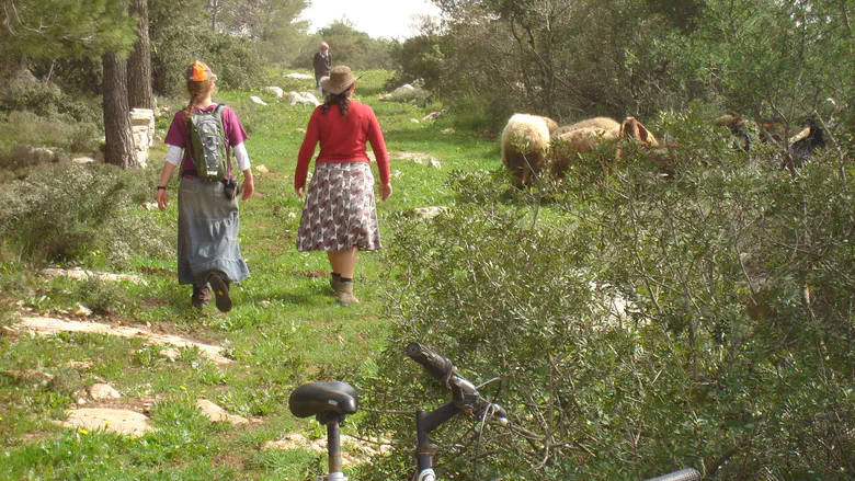 The parable that revolutionised the month of Elul