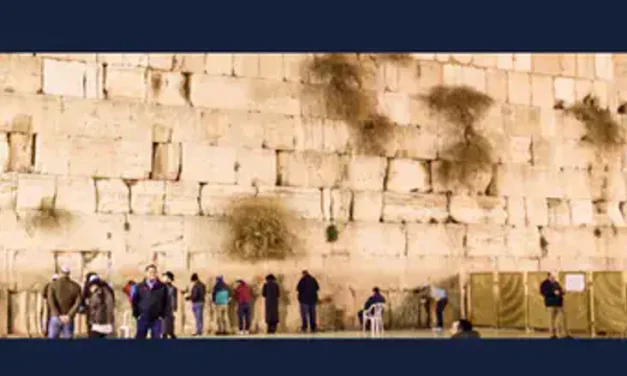 7 Flights, 11 Days in Israel, or $18,000 Cash, One Ticket