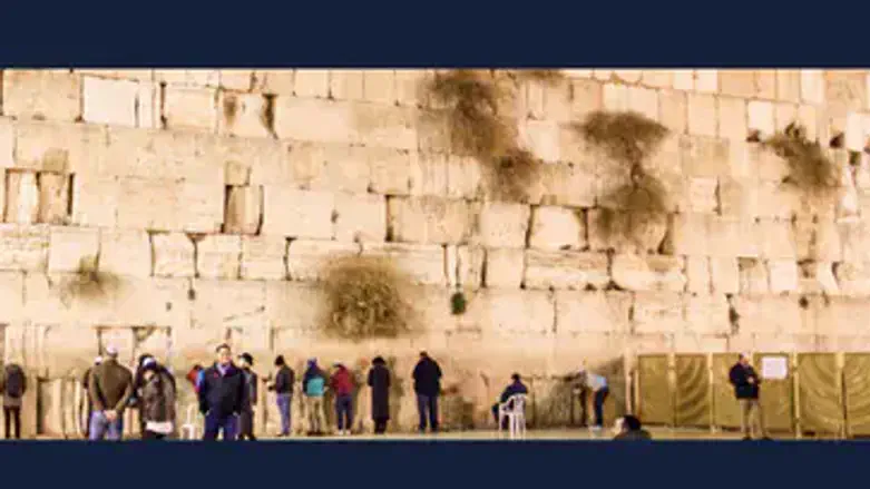 7 Flights, 11 Days in Israel, or $18,000 Cash, One Ticket