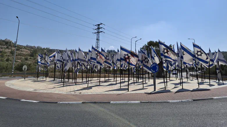 ‘It could end in terror’: Arabs deface Israeli flags in Binyamin region