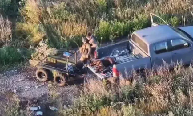 After robot hit, commander takes initiative: daring rescue under Russian drone threat
