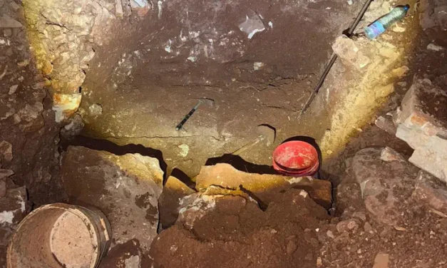 Tunnel to Israel? Suspect caught digging near security fence