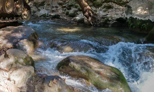 Warning to hikers: Unusual pollution in northern streams – may be dangerous to enter water