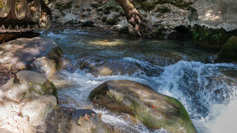 Warning to hikers: Unusual pollution in northern streams – may be dangerous to enter water