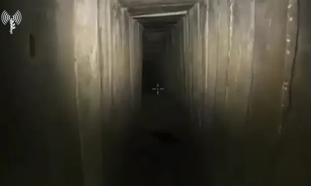 IDF seals two Gaza terror tunnels