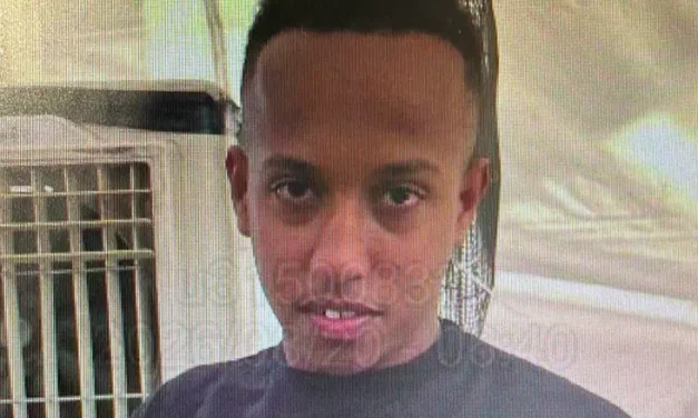 Police ask public for help finding missing Ramla man in Japan