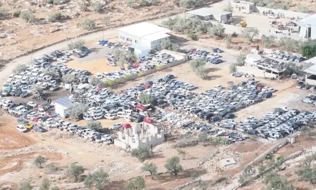 Supreme Court rejects petition against illegal scrapyards