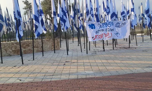 Vandals tear down Israeli flags – activists return with 50 more