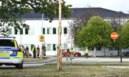 Sword attack at Swedish school leaves one dead, three injured