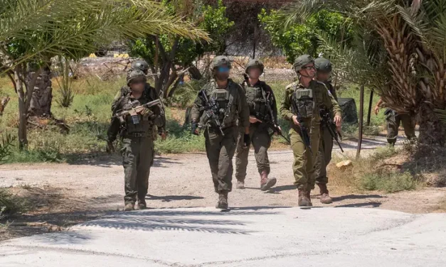 Terrorist tries to grab soldier’s weapon