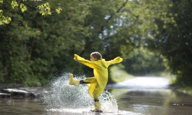 August surprise: Thunderstorms, heavy rain set to hit Israel