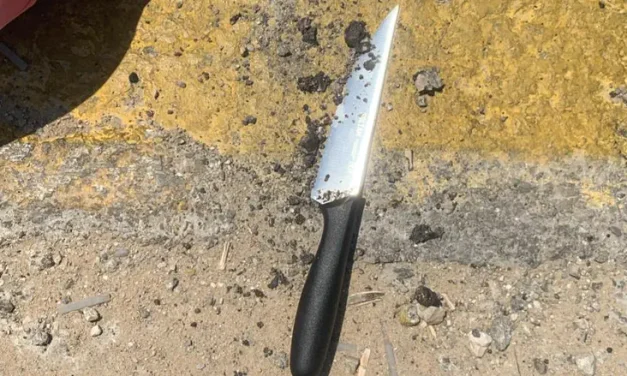 Stabbing attack foiled, pregnant terrorist arrested