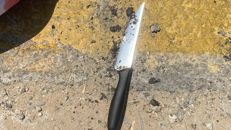 Stabbing attack foiled, pregnant terrorist arrested