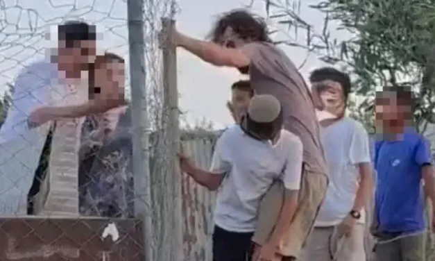 Anti-Israel activist suspected of sexually assaulting child