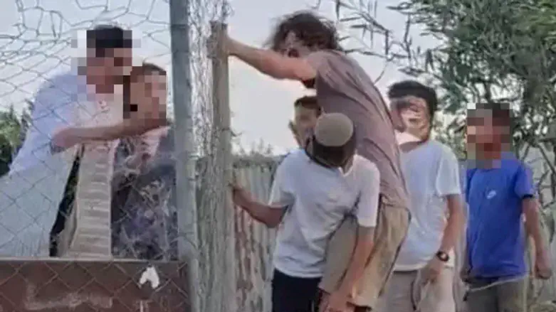 Anti-Israel activist suspected of sexually assaulting child