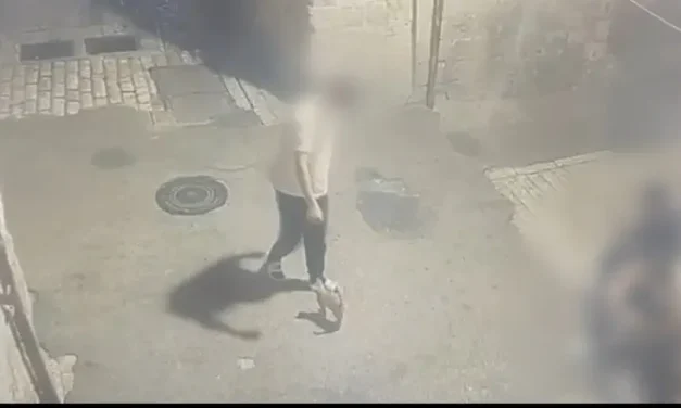 Cameras capture 15-year-old kicking kitten