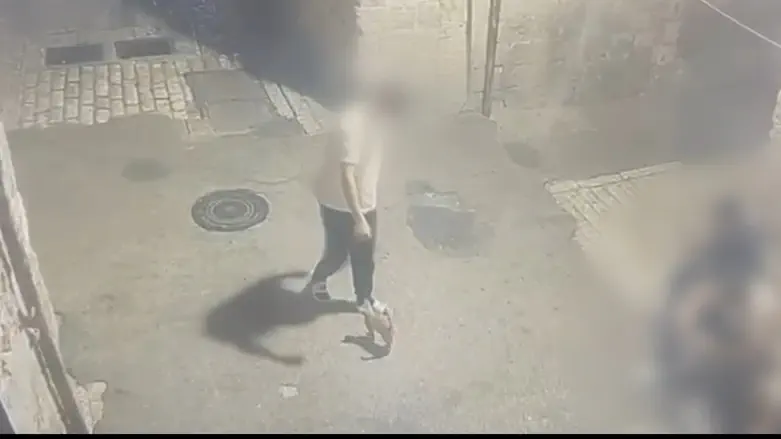 Cameras capture 15-year-old kicking kitten
