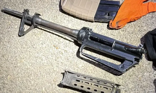 Medical graduate accused of wild police chase, ramming patrol car