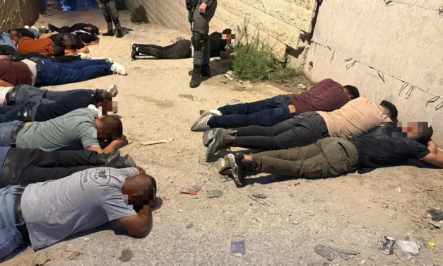 Watch: 18 infiltrators found hidden under truck after police chase