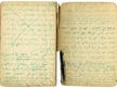 A hidden Holocaust story from Lithuania’s forests is revealed in one survivor’s diary