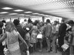 ‘Cascade of wimps’: How Israel treated those who left the country 50 years ago