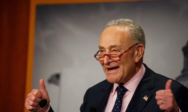 Chuck Schumer’s guardian act was never about Israel. It was about power – opinion