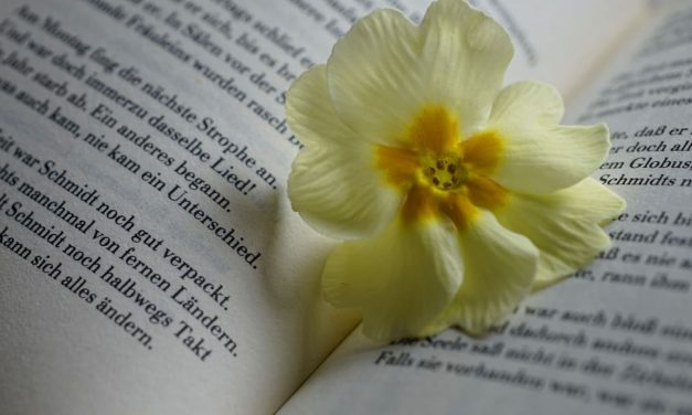 Wait until life touches you, and the poems appear like bruises – opinion