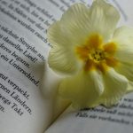 Wait until life touches you, and the poems appear like bruises – opinion