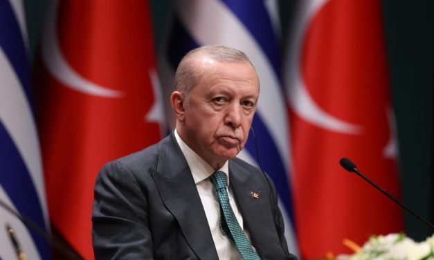 Ex-Mossad official: Turkey unlikely to risk military clash with Israel despite Erdogan’s ambitions