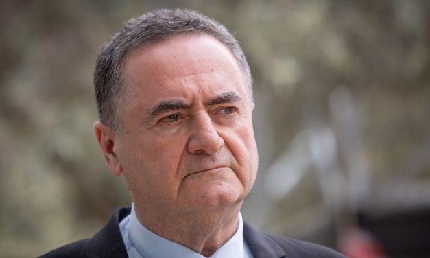 Serving generals deserve better than Katz’s political theater – editorial