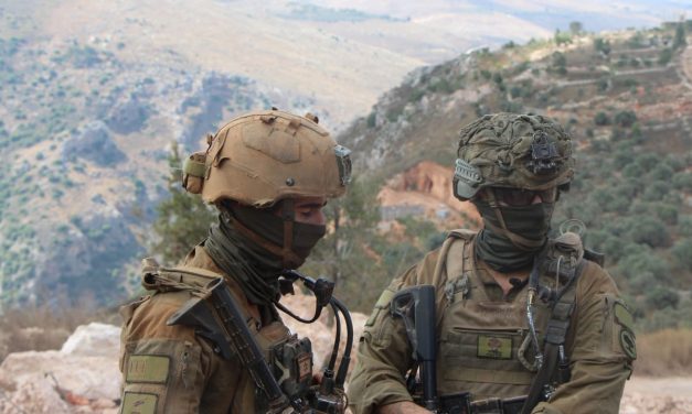 Wounded IDF soldiers allegedly mistreated, denied water by Arab Rambam staff, brother claims