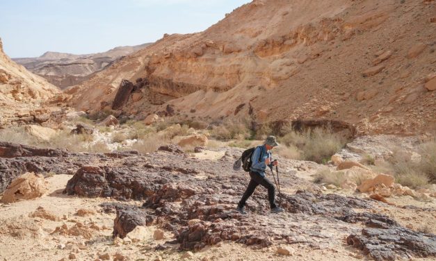 From the Danube to the Negev: Climate change is a European problem too – opinion