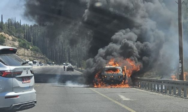 Traffic briefly halted on Highway 1 as vehicle goes up in flames amid record-breaking heatwave