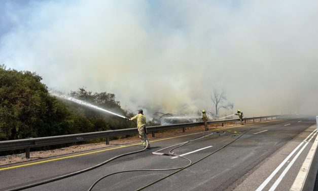 Fire breaks out on Highway 6 near Ben Shemen Forest, prompts road closures as firefighters work