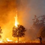 Conspiracy theories blaming Jews for Europe’s wildfires are spreading online, Cyberwell warns