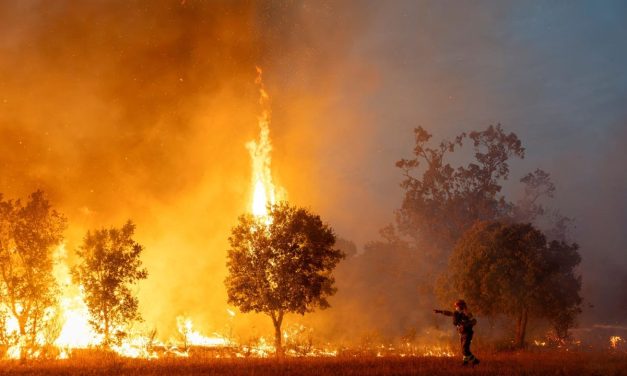 Conspiracy theories blaming Jews for Europe’s wildfires are spreading online, Cyberwell warns