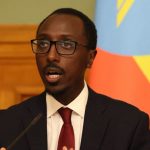 Ethiopia, US reinforce commitment to partner on cross-sectional issues – opinion