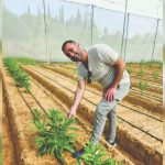 Hebrew University scientists discover way to create real dairy proteins from plants