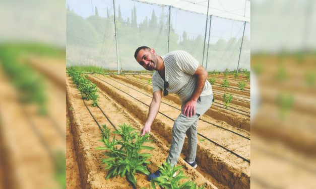 Israeli scientists make plants produce milk protein, paving way for cow-free dairy