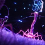 Scientists use AI to create viruses not found in nature, simultaneously raising alarms, enthusiasm