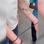 IDF confirms soldiers numbered Palestinian suspects in West Bank op., says ‘lessons were drawn’