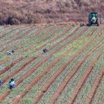 Israel imports record foreign workforce to replace Palestinians, but housing crisis looms