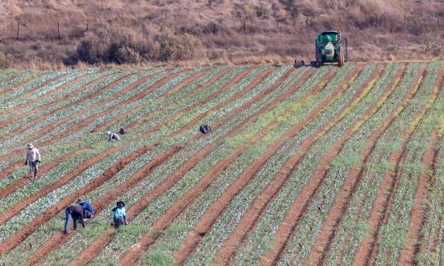 Israel imports record foreign workforce to replace Palestinians, but housing crisis looms