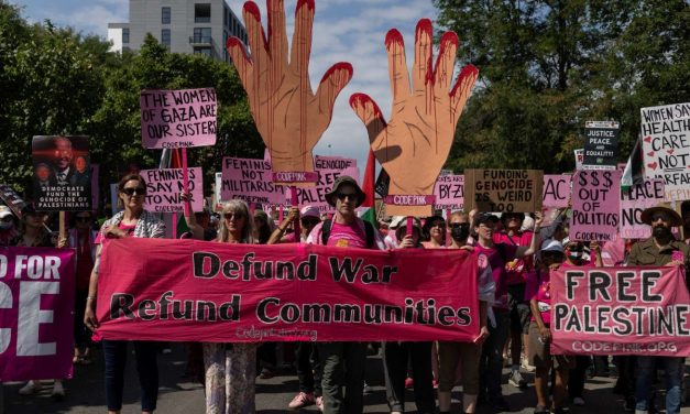 Organ harvesting, dog rape: How an anti-Israel report turns allegations into ‘systemic’ abuse