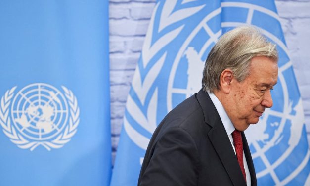 UN special rapporteurs are ‘totally out of control,’ Secretary-General Guterres admits in interview