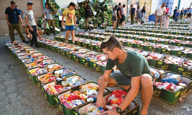 Israel is failing to provide food security, leaving thousands of NGOs to fill the gaps – study