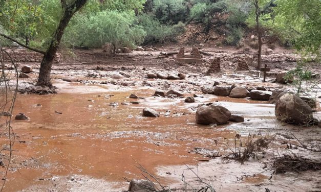 Flash flood in Grand Canyon National Park leaves one dead over a dozen missing