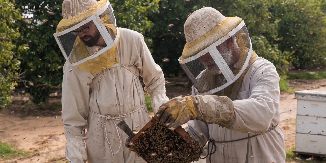 The story behind your Rosh Hashanah honey: How one Galilee family keeps their tradition alive