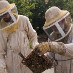 The story behind your Rosh Hashanah honey: How one Galilee family keeps their tradition alive